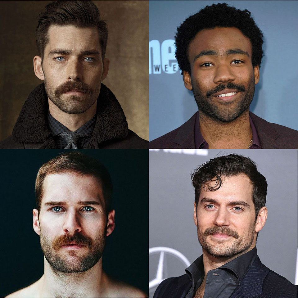 tipos de bigode