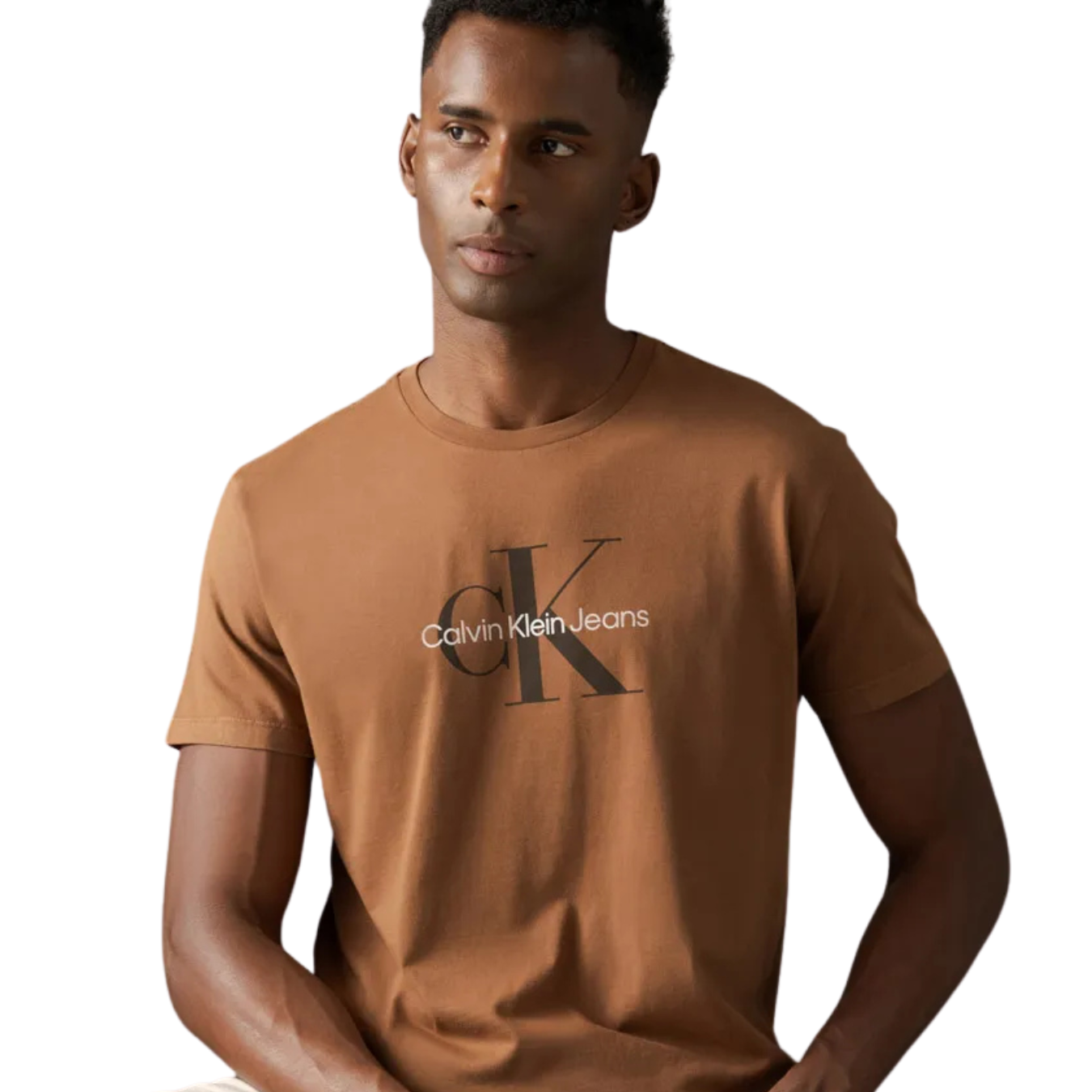 camiseta básica masculina calvin klein