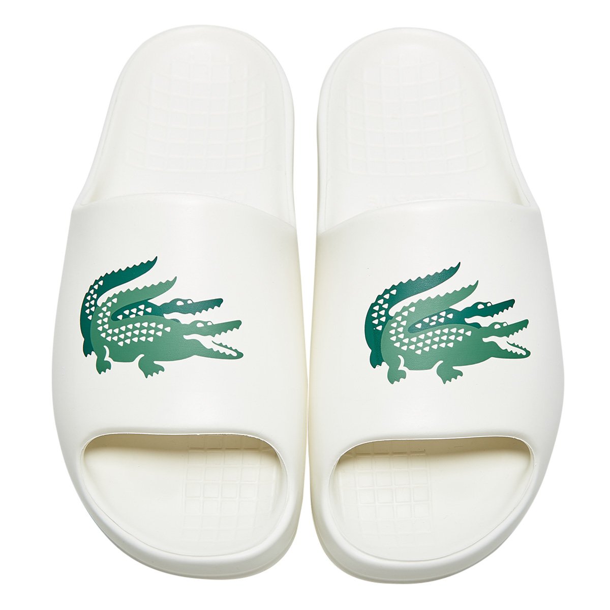 chinelo lacoste masculino original