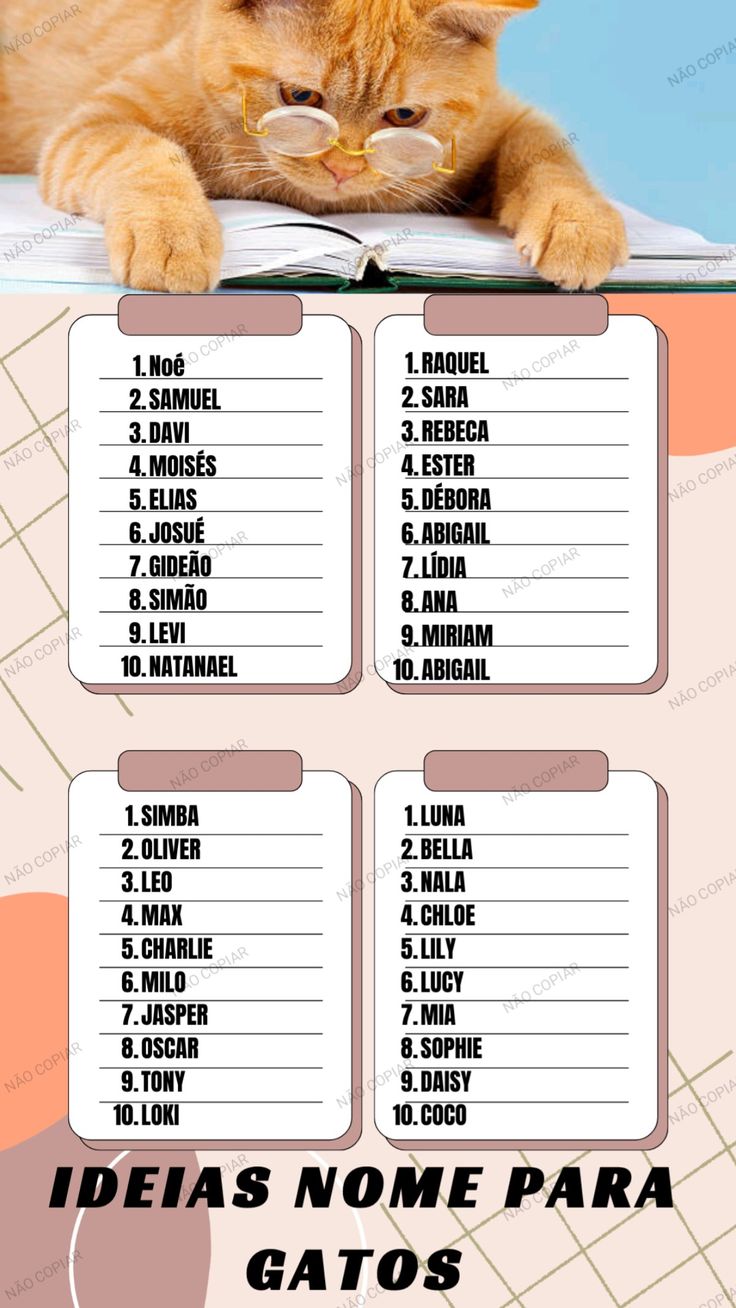 nomes de gatos machos modernos
