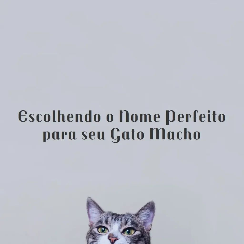 nomes criativos para gatos machos