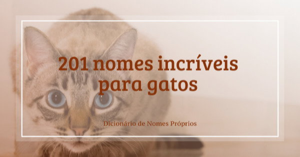 nomes de gatos machos fofos