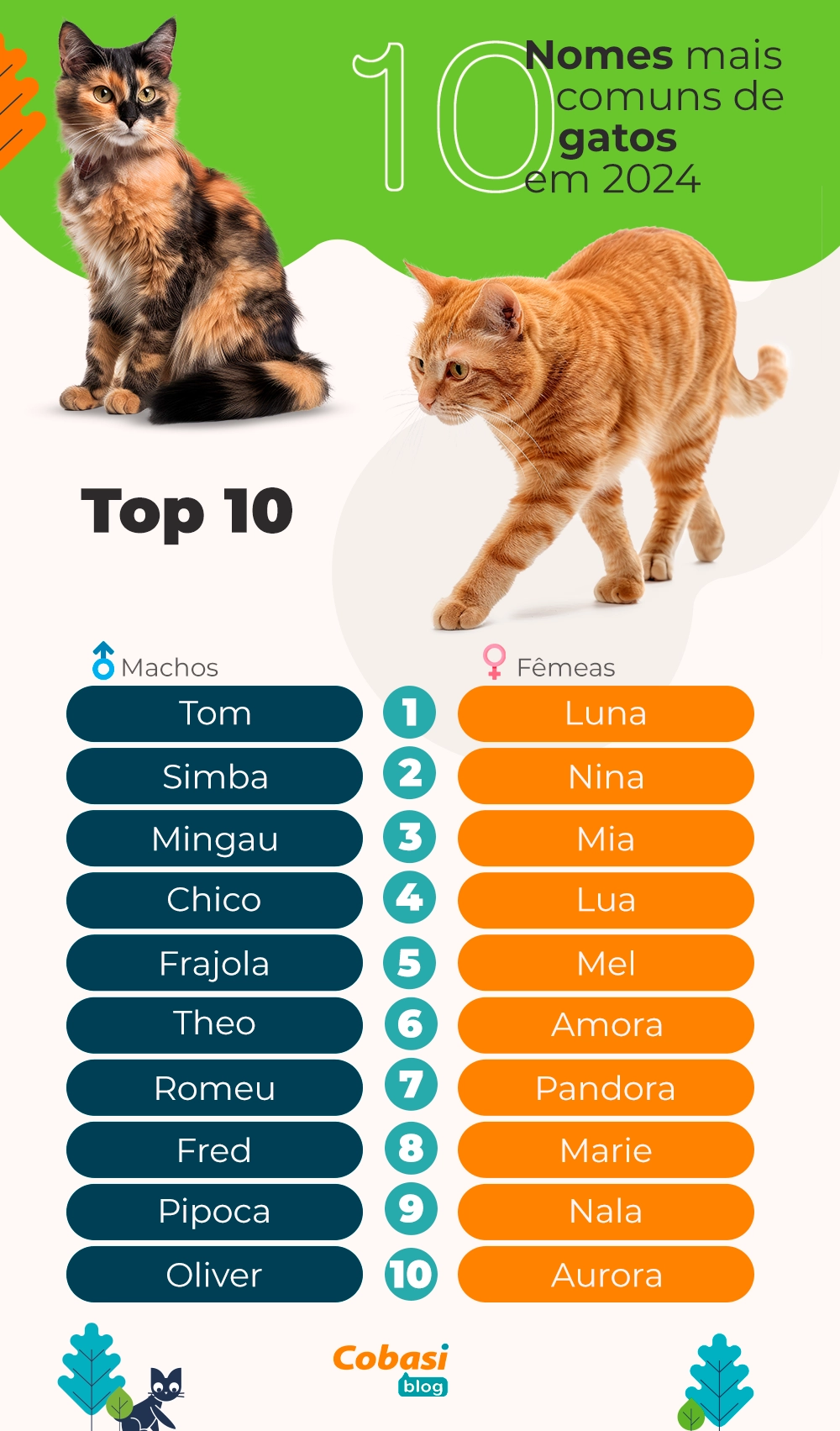 nomes de gatos machos fofos