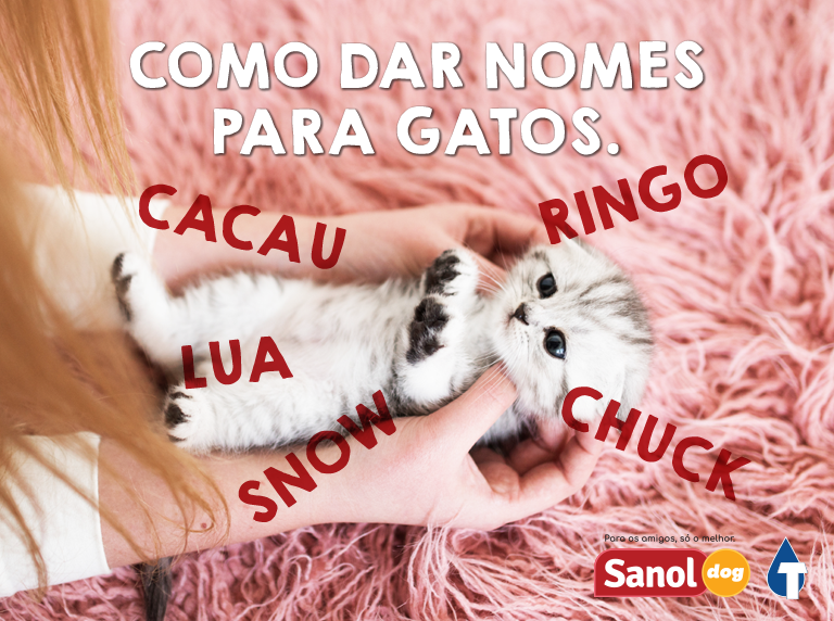 nomes de gatos machos fortes