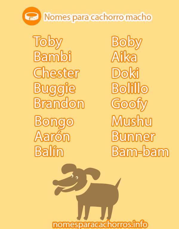 nomes de cachorro masculino de luxo