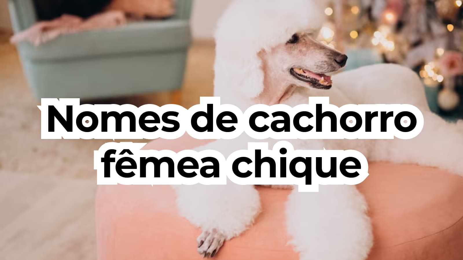 nomes chiques para cães machos