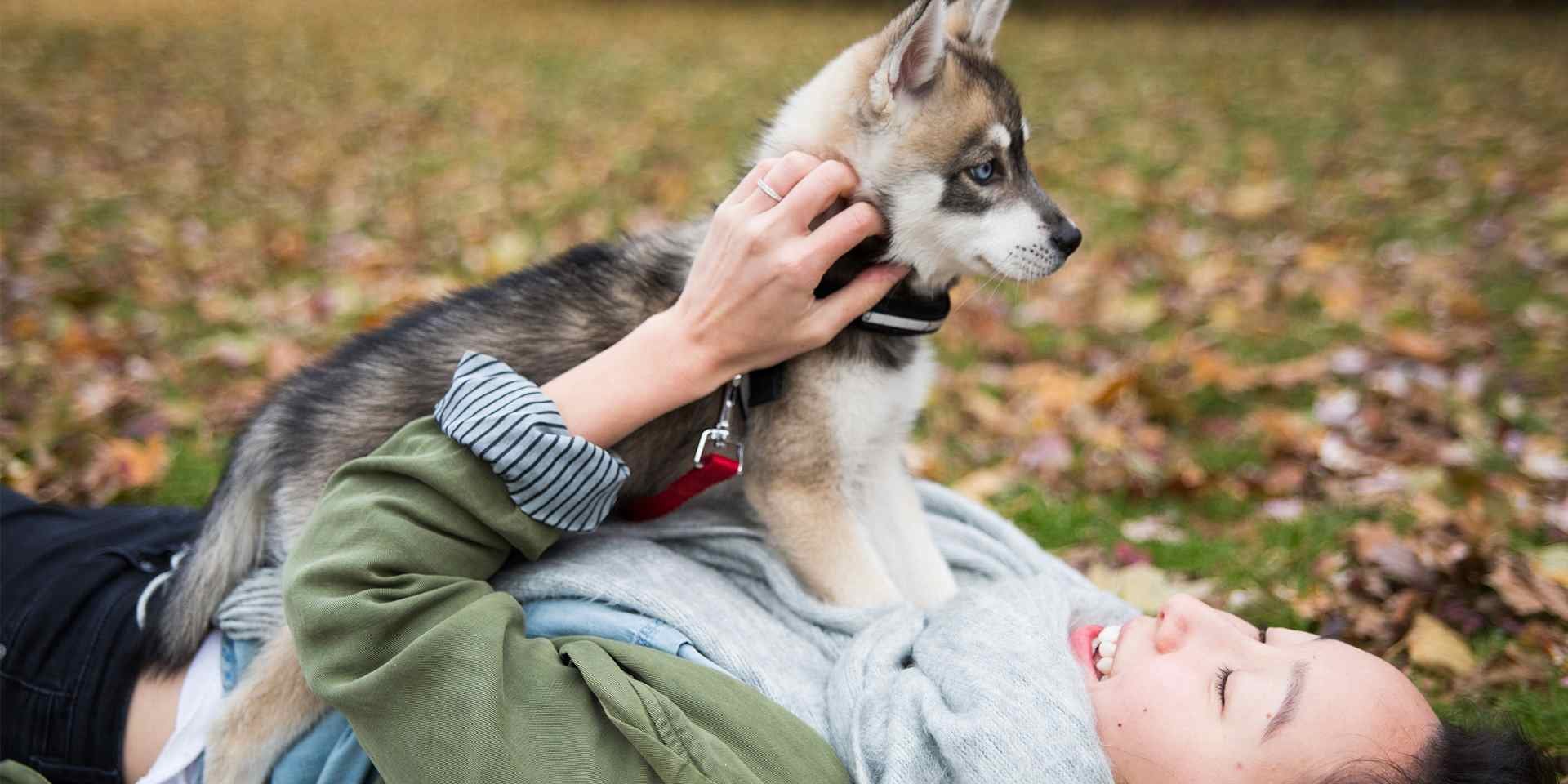 nomes inspirados em grifes para cães