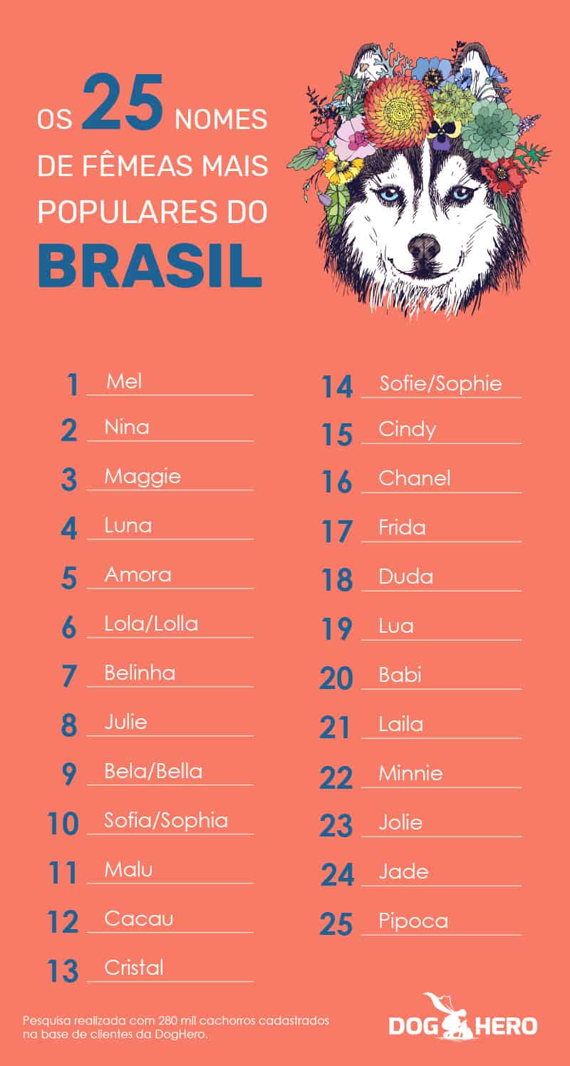 nomes de cachorro para machos com pedigree