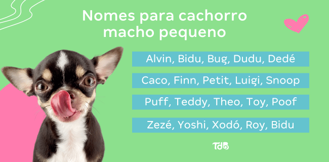 nomes elegantes para cachorros machos