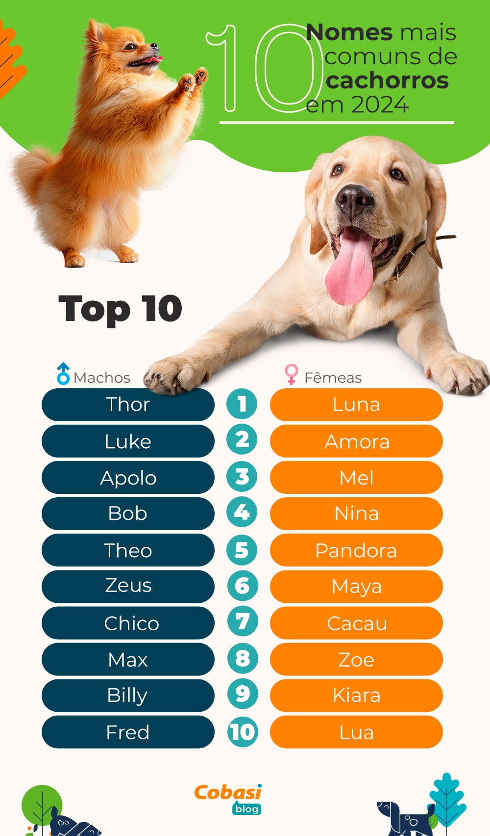 nomes de cachorro com ar de nobreza