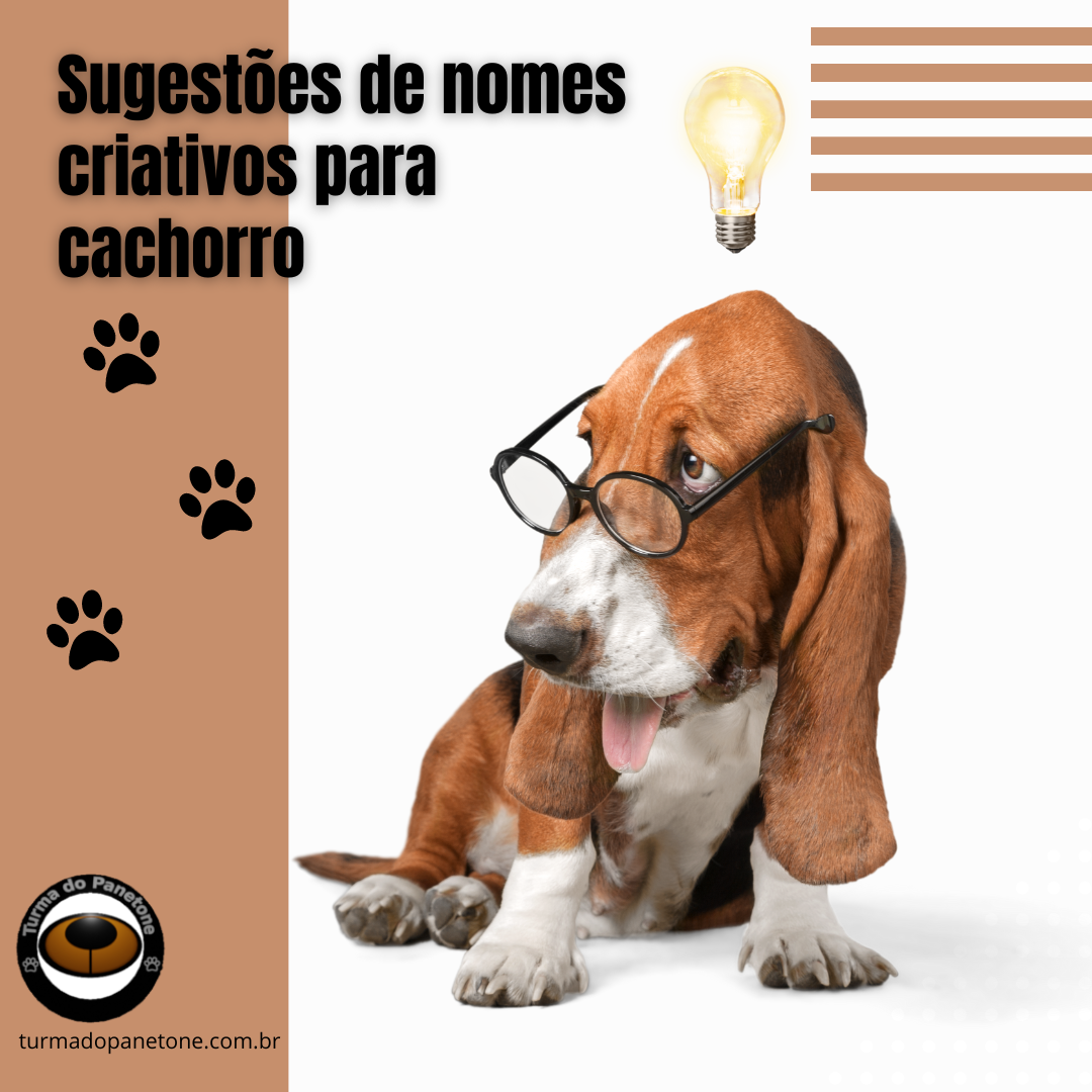 nomes de cachorro masculino com sonoridade europeia