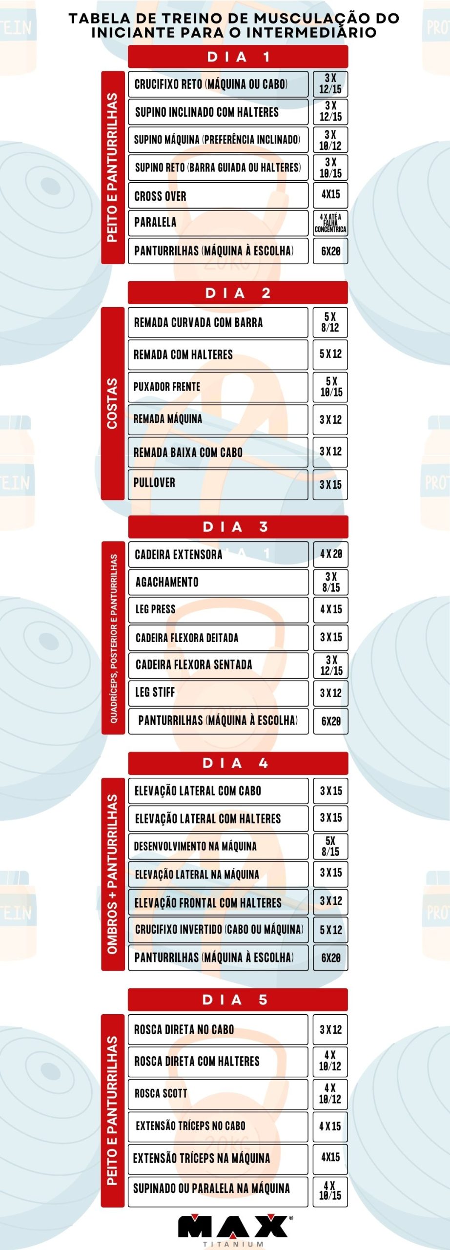 ficha de treino musculação homem